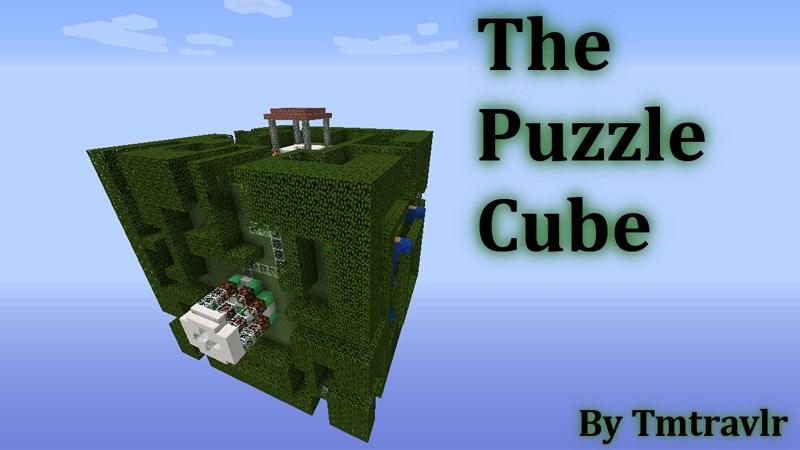 THE PUZZLE CUBE