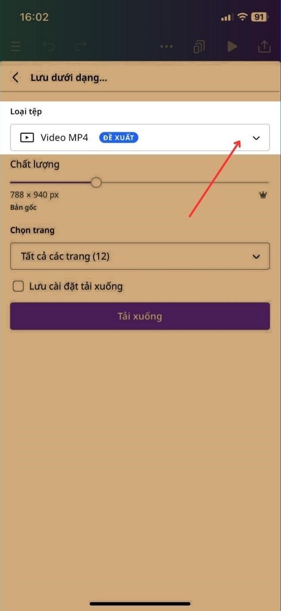 Chọn vào mục Loại tệp