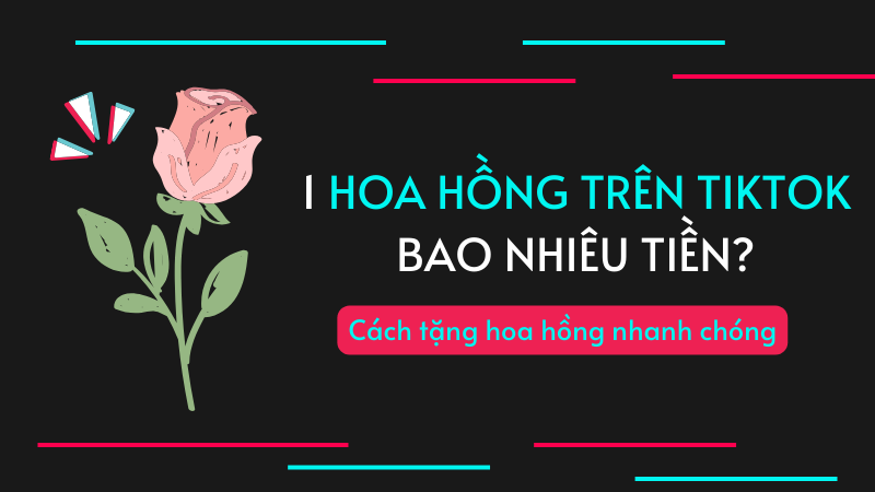 1 hoa hồng trên TikTok là bao nhiêu? Cách tặng hoa hồng nhanh chóng 1 hoa hồng trên TikTok là bao nhiêu? Cách tặng hoa hồng nhanh chóng