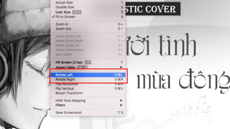 Xoay, lật video t&ugrave;y th&iacute;ch