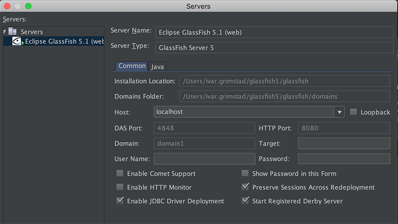 download glassfish server netbeans download