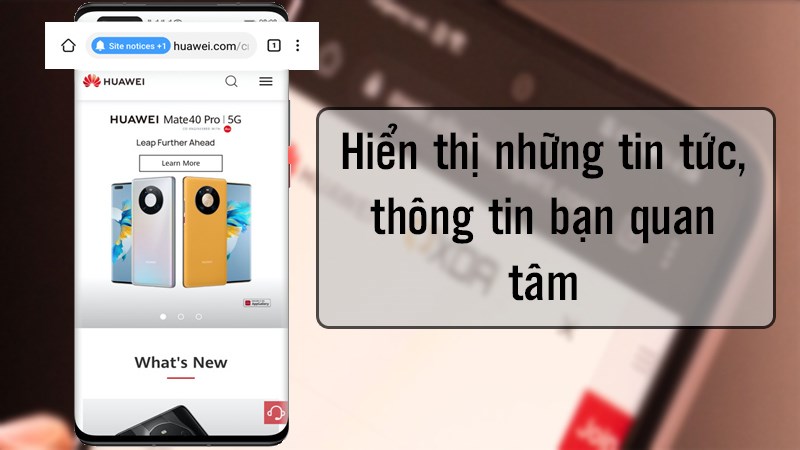 Hiển thị những tin tức, thông tin bạn quan tâm