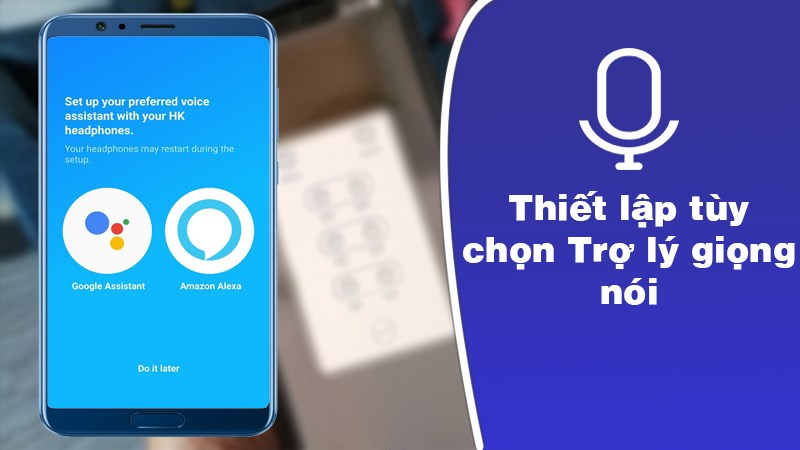 Thiết lập tùy chọn Trợ lý giọng nói Thiết lập tùy chọn Trợ lý giọng nói