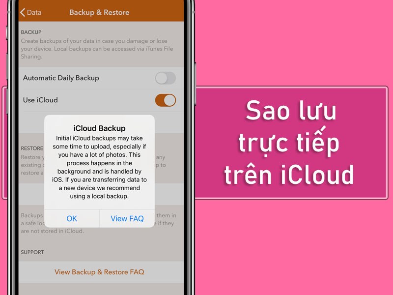Sao lưu trực tiếp tr&ecirc;n iCloud
