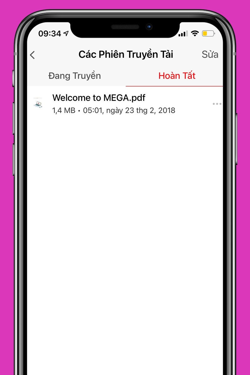 Xem lại lịch sử c&aacute;c phi&ecirc;n bản đang truyền v&agrave; ho&agrave;n tất truyền tải