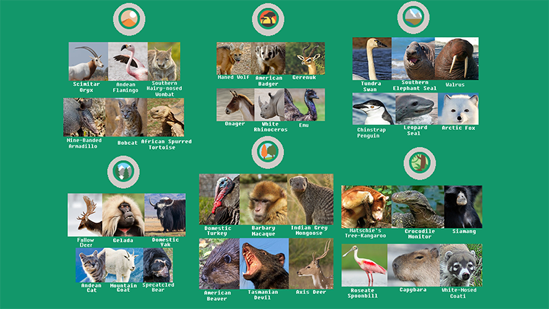 Một số lo&agrave;i động vật