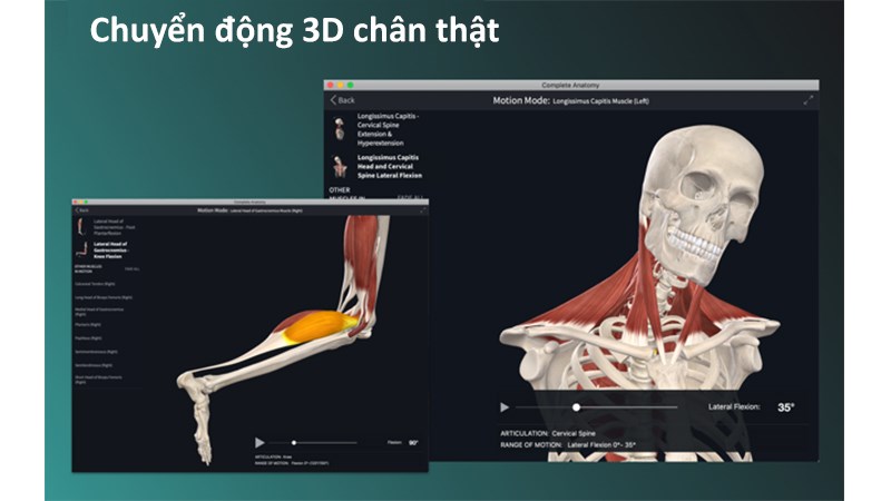 Chuyển động 3D chân thật