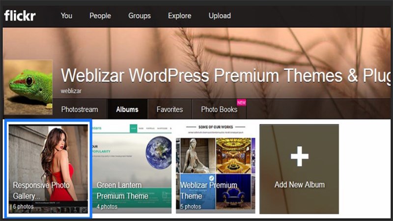 Cho ph&eacute;p lưu trữ h&igrave;nh ảnh v&agrave;o thư mục