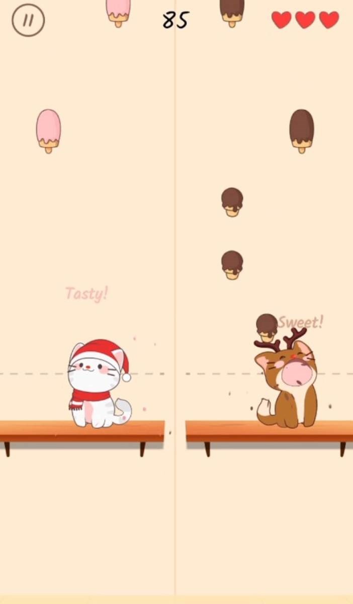 Song ca với chú mèo với tiếng MeowMeow Song ca với chú mèo với tiếng MeowMeow