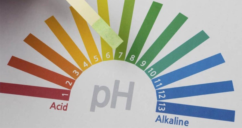 Độ pH phù hợp cho vùng kín là 3,8 - 4,5