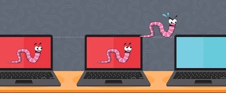 What are Worms? How to recognize and prevent Worm on the computer