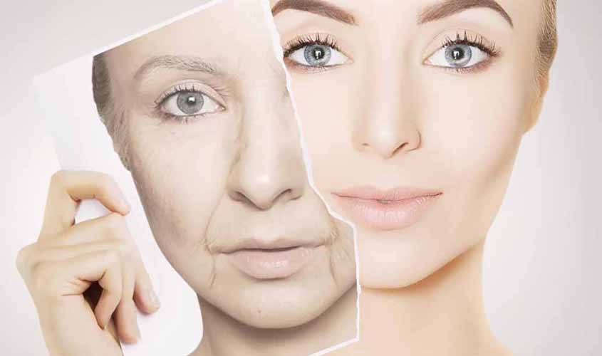 Sữa ong chúa là thực phẩm tự nhiên giúp giảm tốc độ lão hóa da