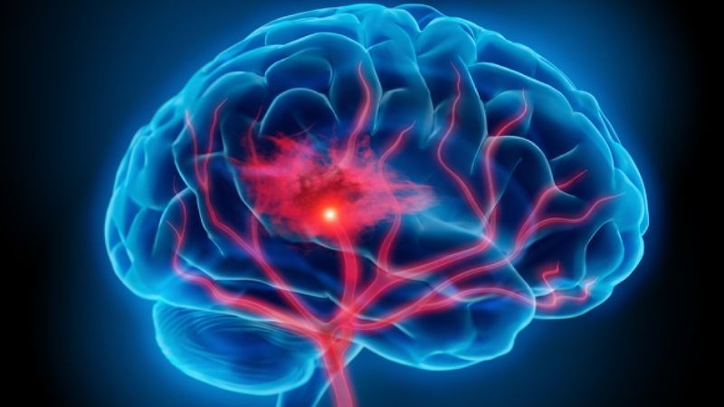 Thuốc bổ não thường chứa ginkgo biloba giúp giãn mạch và tăng cường lưu thông máu