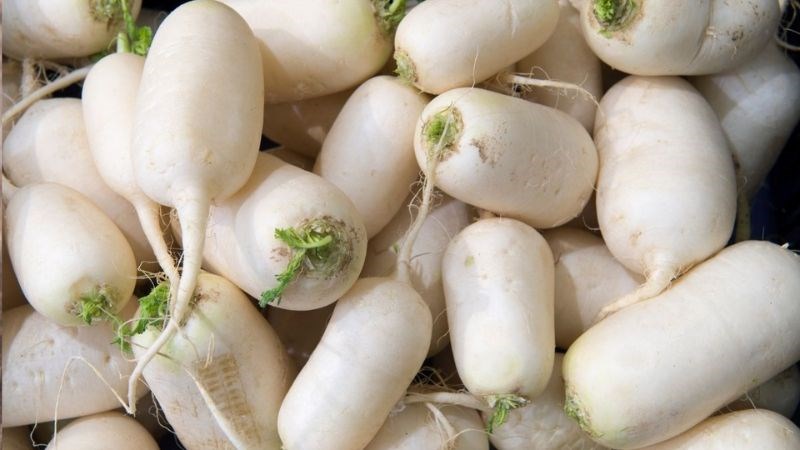 Củ cải trắng hỗ trợ sức khỏe công dụng tốt cho sức khỏe