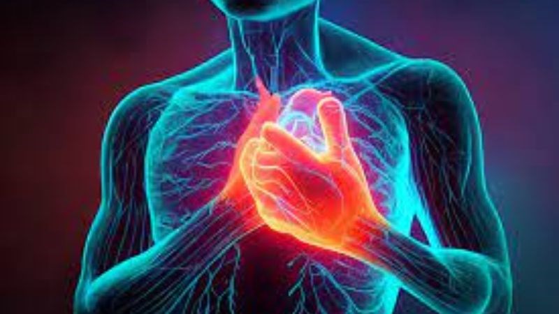 Liều dùng cao hơn đối với bệnh nhân mắc bệnh tim, người có chất béo trung tính cao