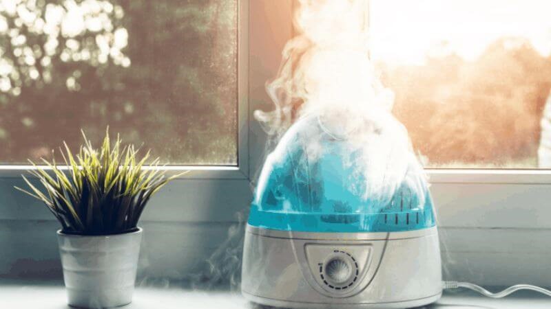 Sử dụng máy tạo ẩm không khí có thể giúp ngăn ngừa bệnh