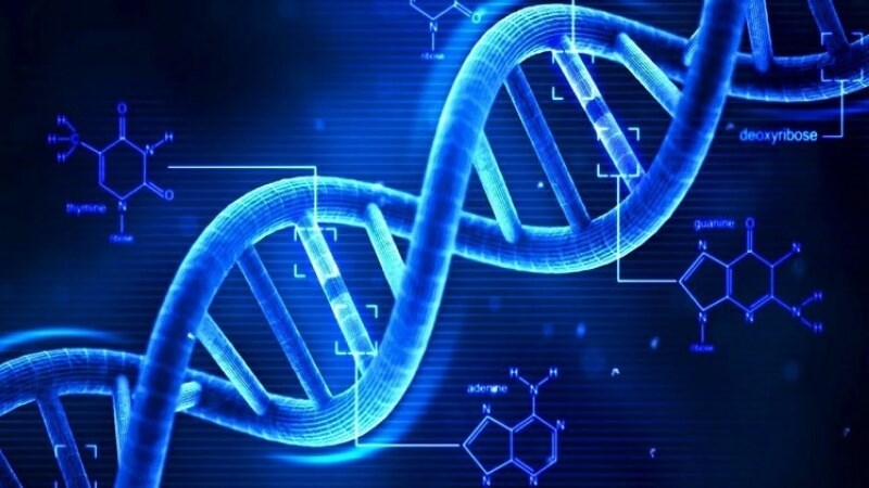 Gen di truyền có thể ảnh hưởng đến giấc ngủ và nhịp sinh học