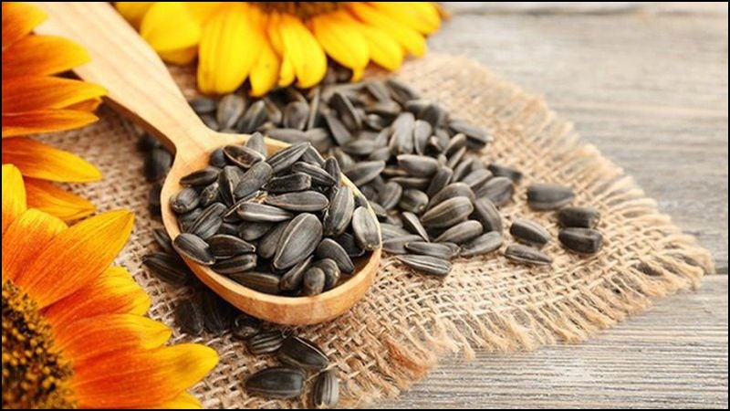 Hạt hướng dương chứa một lượng dồi dào vitamin E