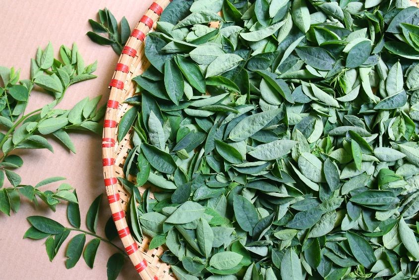  Ăn rau ngót là cách nhanh hết sản dịch sau sinh thường