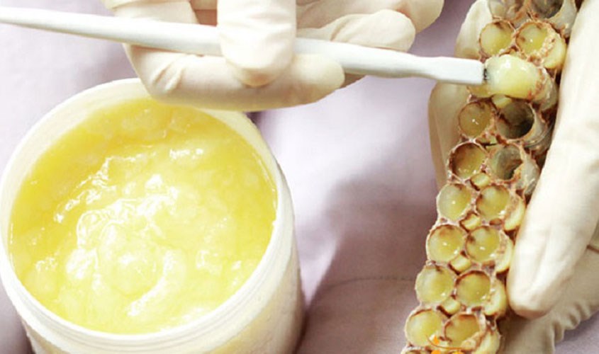 Uống sữa ong chúa giúp phòng tránh bệnh ung thư