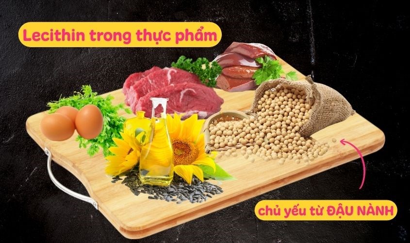 Lecithin có trong thực phẩm, chủ yếu là từ đậu nành