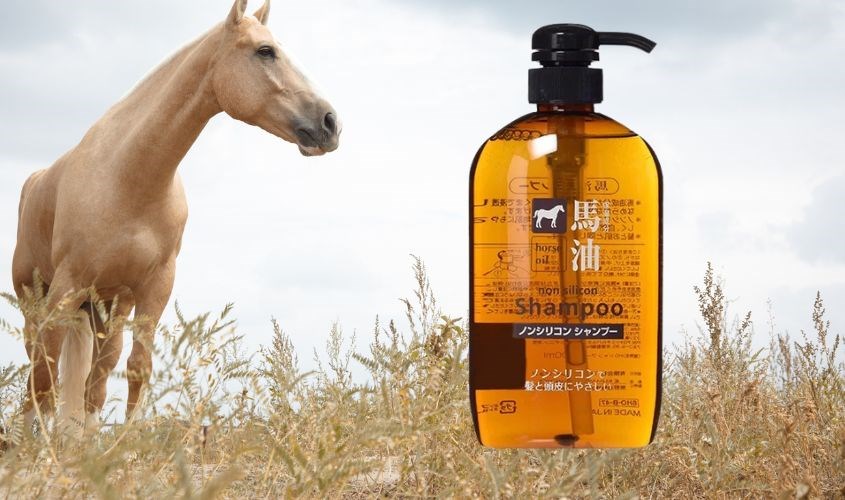 Horse Oil còn được gọi là dầu gội mỡ ngựa Nhật Bản