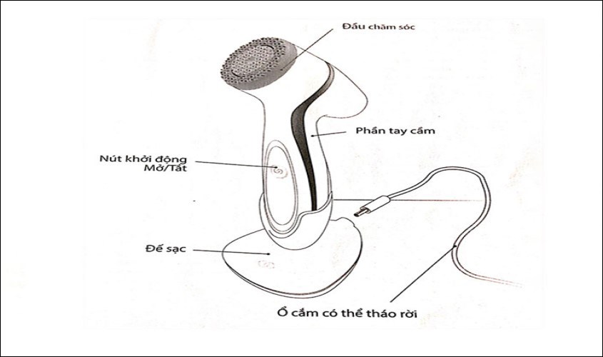 Máy rửa mặt gồm hai bộ phận chính là phần đầu và phần thân.