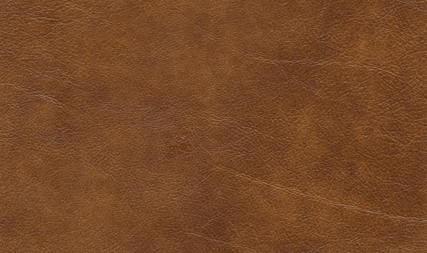Bề mặt của chất liệu Bonded leather