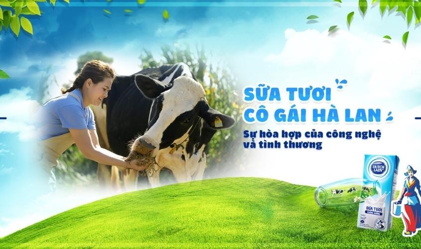 Sữa cô gái Hà Lan bổ sung đạm tốt cho cơ thể