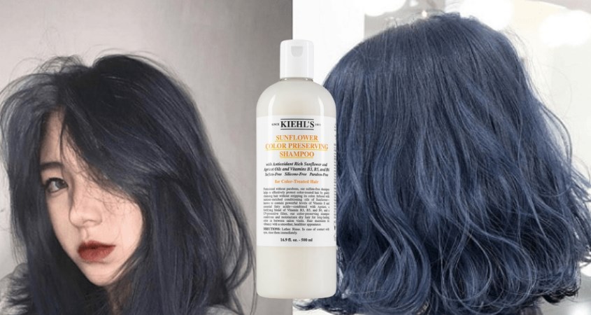 Dầu gội giữ màu tóc nhuộm Kiehl’s Sunflower Color Preserving Shampoo