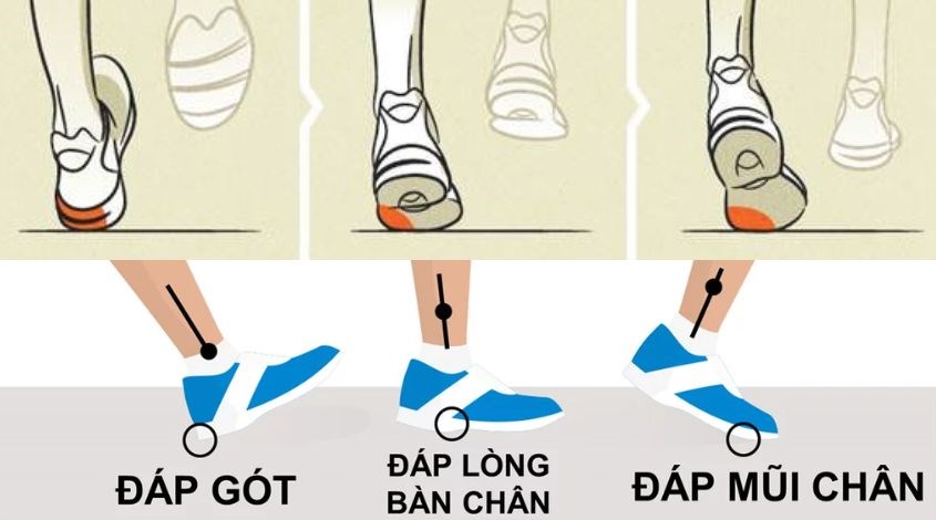 Chạy bộ đáp bằng gót hay mũi? Kỹ thuật tiếp đất khi chạy bộ