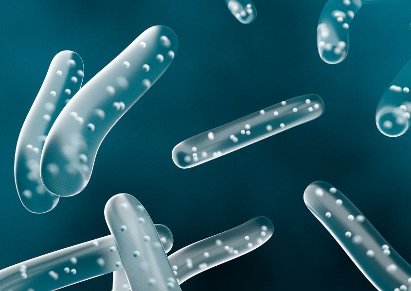 Probiotics an toàn với mẹ bầu. Nguồn ảnh: canva