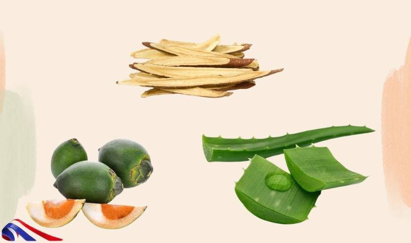 Sản phẩm với các chiết xuất từ thiên nhiên an toàn sử dụng