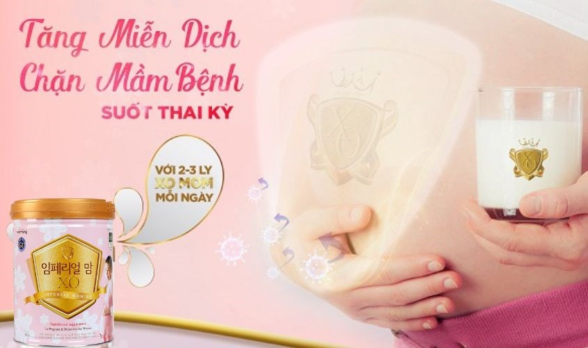 Sữa bầu XO giúp tăng cường miễn dịch