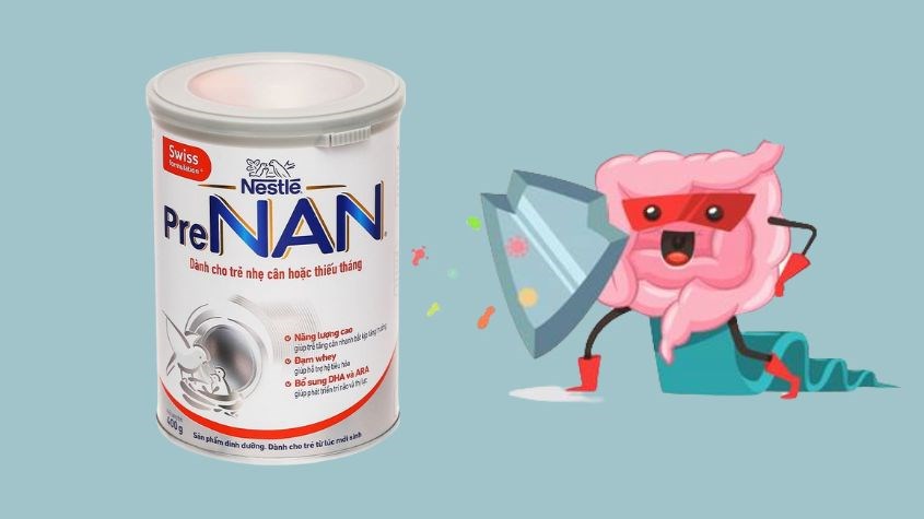 Sữa Pre Nan chứa nhiều lợi khuẩn rất tốt cho hệ tiêu hoá bé