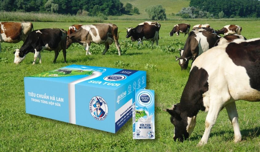 Thùng 48 hộp sữa tươi Dutch Lady không đường 180ml
