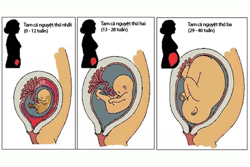 Ảnh: www.newhealthadvisor.com Ảnh: www.newhealthadvisor.com