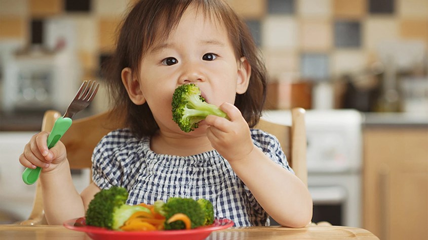 Bổ sung chất xơ đúng cách giúp tăng cường