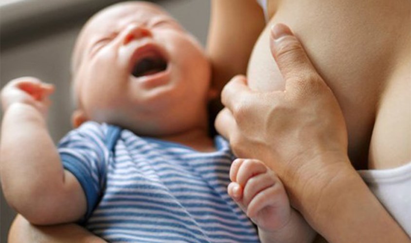 Tháng thứ 6 chính là thời điểm thích hợp để bé cai sữa mẹ Tháng thứ 6 chính là thời điểm thích hợp để bé cai sữa mẹ