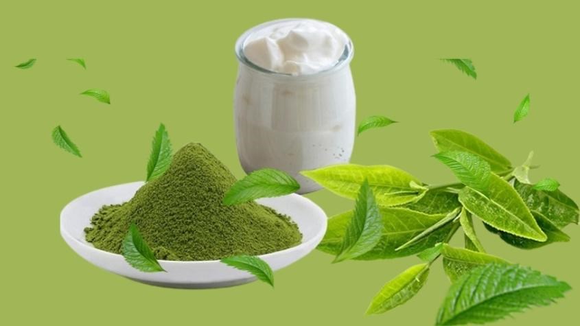 Mặt nạ sữa chua trà xanh trị mụn cho da dầu