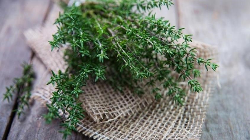 Thành phần nước giặt Animo có chiết xuất từ thiên nhiên lành tính đối với làn da của bé