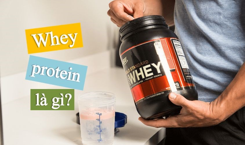 Whey Protein được cơ thể hấp thụ nhanh hơn các loại khác