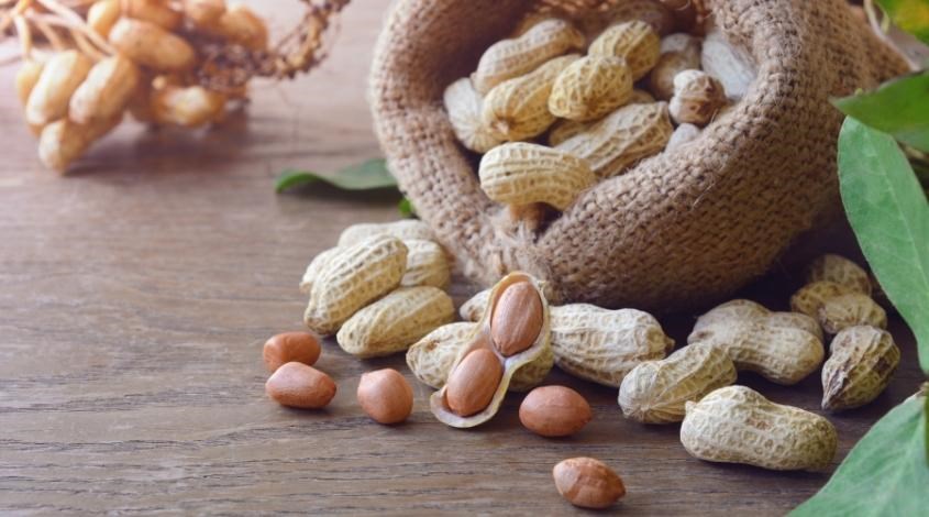 Ăn đậu phộng với lượng vừa phải sẽ khong gây tăng cân