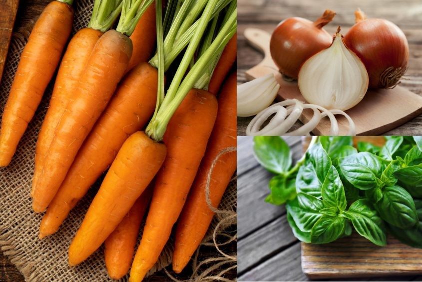 Ăn cà rốt có giảm cân được không