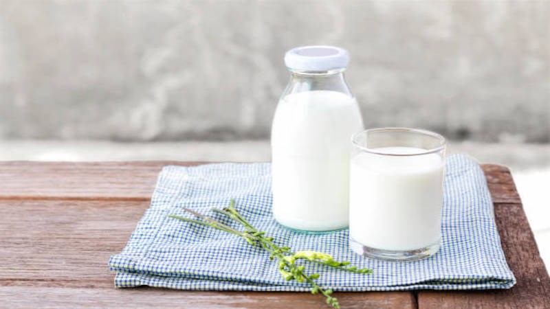 Uống sữa giúp bổ máu