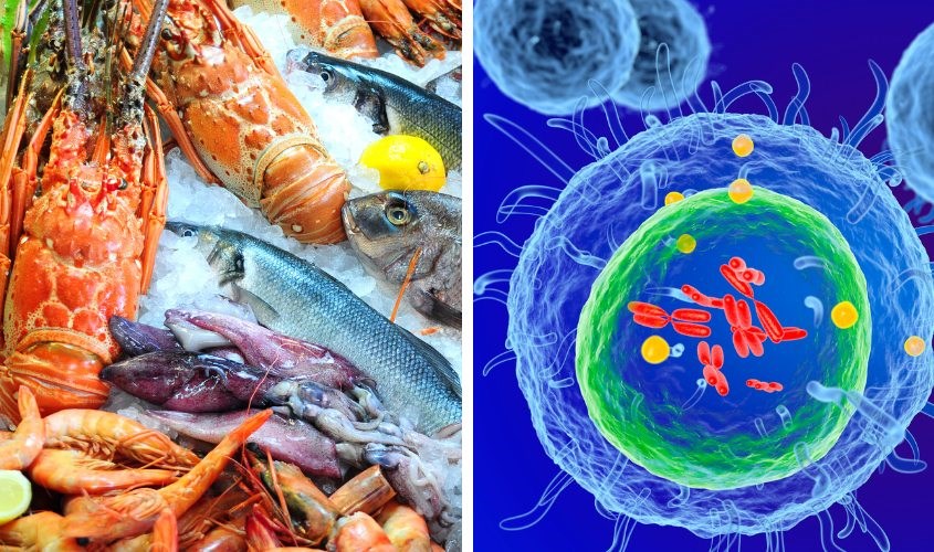 Ăn hải sản sau sinh giúp mẹ tăng cường khả năng miễn dịch