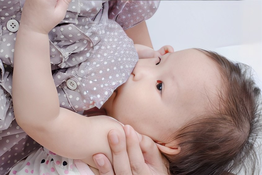 Chưa có nghiên cứu nào chứng minh việc ăn lá lốt gây mất sữa Chưa có nghiên cứu nào chứng minh việc ăn lá lốt gây mất sữa