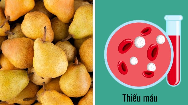 Lê có thể rất có lợi cho những bệnh nhân bị thiếu máu. Lê có thể rất có lợi cho những bệnh nhân bị thiếu máu