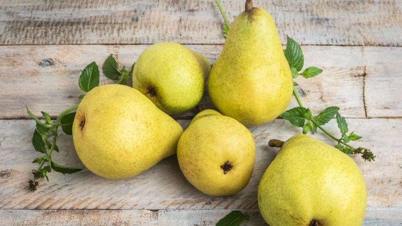 Lê giúp mau lành vết thương. Lê giúp mau lành vết thương