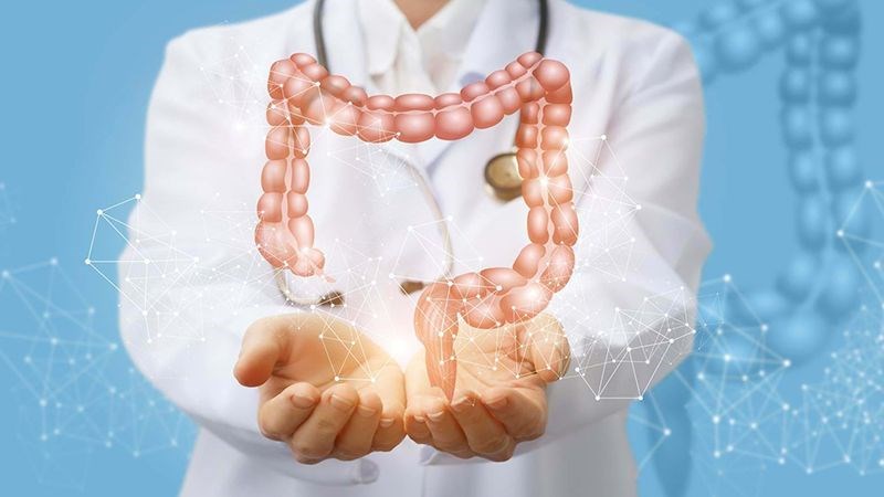 Lê có thể hỗ trợ điều trị viêm túi thừa. Lê có thể hỗ trợ điều trị viêm túi thừa